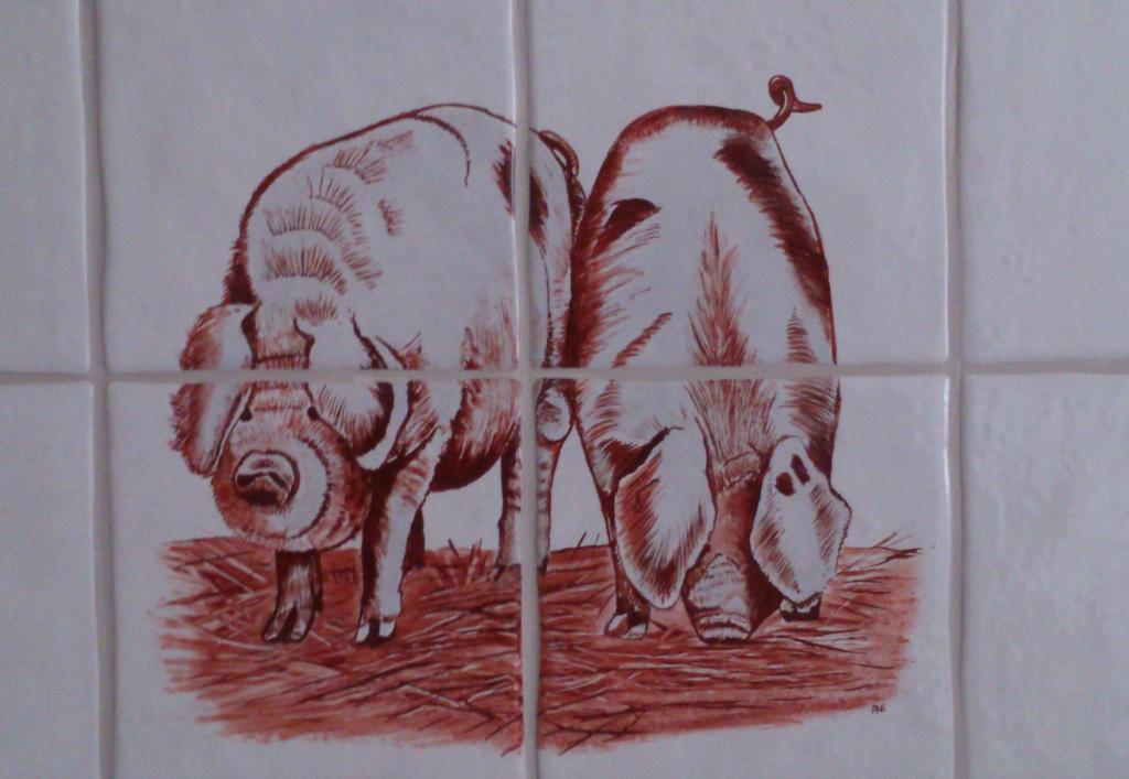 Stal Zwartschaap Apartman Stuifzand Szoba fotó